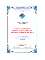 khảo sát nghiên cứu qui trình chế biến rượu từ trái nhàu bằng phương pháp ngâm trích