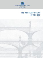 CHÍNH SÁCH TIỀN TỆ CỦA NGÂN HÀNG TRUNG ƯƠNG CHÂU ÂU