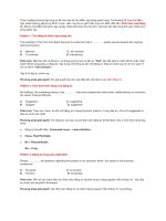 tự luyện toeic grammar