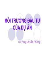 Môi trường đầu tư của dự án