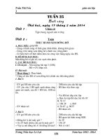 Giáo án lớp 3 (hay)   tuần 25