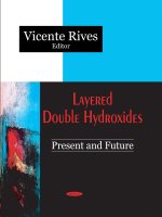 Layered Double Hydroxides: Present and Future :Lớp đôi hydroxit: Hiện tại và tương lai