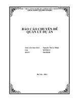 Báo cáo chuyên đề QLDA xây DỰNG dự án KINH DOANH vật tư NÔNG NGHIỆP HTX VIỆT HÙNG