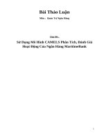 Sử Dụng Mô Hình CAMELS Phân Tích, Đánh Giá Hoạt Động Của Ngân Hàng MaritimeBank