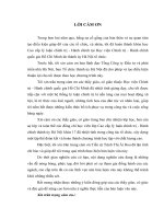 một số vấn đề về quản lý vốn đầu tư xây dựng kết cấu hạ tầng kỹ thuật từ ngân sách nhà nước trên địa bàn thành phố hà nội. thực trạng và giải pháp