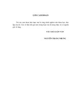 giải pháp nâng cao hiệu quả quản lý rủi ro trong hoạt động kinh doanh ngoại hối tại ngân hàng mb