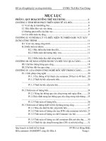 quy hoạch và thiết kế kỹ thuật container 10.000dwt cảng gò dầu a