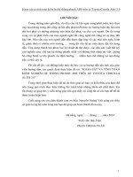 khảo sát và tính toán kiểm tra hệ thống phanh abs trên