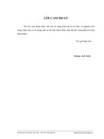 nghiên cứu tổng hợp bộ điều chỉnh lai sử dụng trong hệ thống tùy động