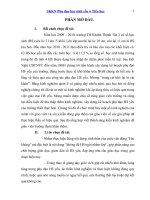 SKKN phụ đạo học sinh yếu ở tiểu học