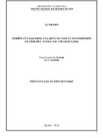 Nghiên cứu dao động của kết cấu tấm và vỏ composite có tính đến tương tác với chất lỏng ( thông tin đưa lên mạng)
