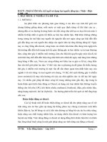 thiết kế ôtô bốn chổ ngồi sử dụng hai nguồn động lực nhiệt -