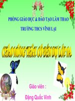 bài giảng diện tích hình thoi toán 8