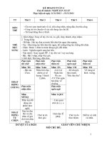 Giáo án lớp lá chủ đề nghề nghiệp tuần 4