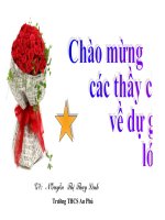 giáo án phương trình chữa ẩn ở mẫu mới