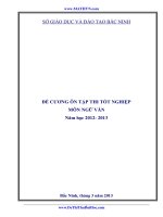 Đề cương ôn thi tốt nghiệp môn văn