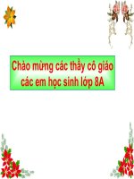 phương trình bậc nhất một ẩn và cách giải