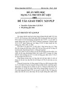 Đồ án giao thức x25 PLP