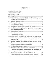 Hạn chế rủi ro tín dụng tại chi nhánh ngân hàng nông nghiệp và phát triển nông thôn hà nội