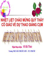giáo án bài giảng  toán 8 vỗ bá thao