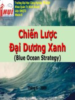 Tiểu luận môn quản trị chiến lược Chiến Lược Đại Dương Xanh