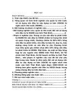 Quản lý sử dụng vốn đầu tư phát triển từ ngân sách nhà nước ở tỉnh thái bình