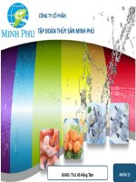 slide Phân tích tài chính công ty cổ phần tập đoàn thủy sản minh phú