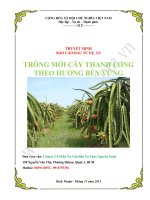 Dự án trồng cây thanh long