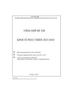 Tổng hợp đề thi môn kinh tế phát triển