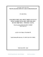 giải pháp thúc đẩy phát triển sản xuất nông nghiệp hàng hóa trên địa bàn huyện hiệp hòa - tỉnh bắc giang