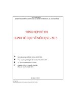 Tổng hợp đề thi kinh tế vĩ mô