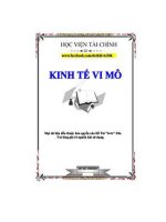 Tổng hợp một số đề thi kinh tế vi mô