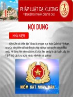 SLIDE Viện kiểm sát Việt Nam