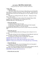 Kế hoạch chủ điểm lớp lá   trường mầm non của bé