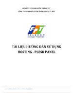 TÀI LIỆU HƯỚNG DẪN SỬ DỤNG HOSTING PLESK PANEL