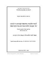 chất nam bộ trong ngôn ngữ truyện ngắn nguyễn ngọc tư