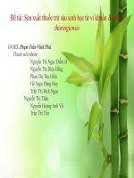 slide thuốc trừ sâu sinh học BT