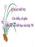 thao giảng cạnh và góc đối diện