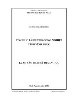 tổ chức lãnh thổ công nghiệp tỉnh vĩnh phúc