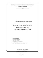 SỰ LÃNH ĐẠO CỐT YẾU: ĐỘNG CƠ ẨN DẤU CỦA VIỆC THỰC HIỆN TUYỆT HẢO (Tiểu luận môn học  Nghệ Thuật Lãnh Đạo)