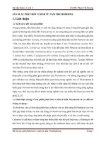 Sản xuất phân bón VI SINH từ nấm TRICHODERMA