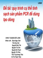 quy trình cụ thể tinh sạch sản phẩm PCR để dùng tạo dòng