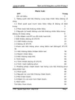 khảo sát hệ thống phun xăng điện tử động cơ 1fz-fe