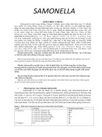 tìm hiểu vi khuẩn SAMONELLA