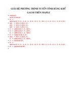 giải phương trình tuyến tính bằng khử Gauss trên Maple (phương pháp tính)