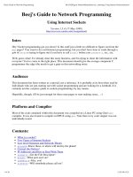 Lập trình Socket Linux C++