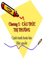 Slide cấu trúc thị trường kinh tế vi mô