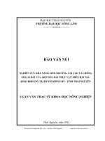nghiên cứu khả năng sinh trưởng, cải tạo và chống xói lở đất của một số loài thực vật trên đất sau khai khoáng tại huyện đồng hỷ tỉnh thái nguyên (2)