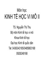 Slide các mô hình kinh tế (kinh tế vi mô)