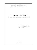 Báo cáo công nghệ sản xuất urea của công ty TNHH một thành viên phân đạm và hóa chất hà bắc